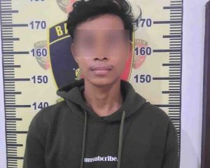 Mengaku Alasan Ekonomi, Pria 19 tahun di Pasangkayu Nekad Curi Sawit. Sekarang Ditangkap Polisi
