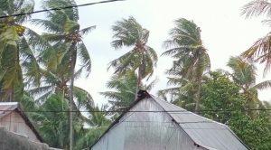 BMKG Ingatkan, Waspadai Potensi Angin Kencang di Majene dan Polman Hari Ini