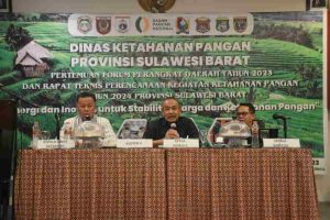 Pemprov Sulbar Yakin, Kolaborasi Beri Dampak Besar Penurunan Stunting