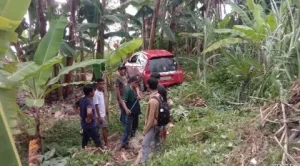 Diduga Mengantuk, Sebuah Minibus Terjun ke Jurang di Ulidang, Begini Kondisinya