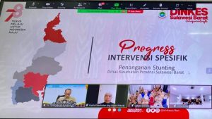 Dinkes Paparkan Progres Intervensi  Penanganan Stunting Sulbar