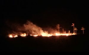 Kebakaran Lahan Kembali Terjadi, Masyarakat Waspada Api Mendekati Permukiman