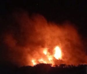 Karhutla Kembali Terjadi Di Kecamatan Pamboang, Sedikitnya 10 Hektar Lahan Terbakar