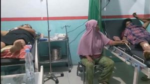 Tiga Warga Batu Roro Diserang Babi Hutan Hingga Terluka