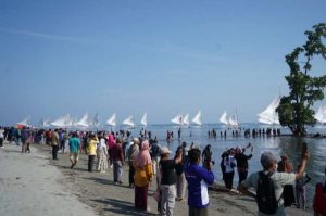 Pedagang Untung Banyak di Pelepasan Sandeq Pasangkayu
