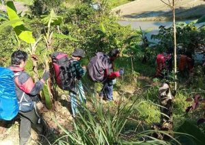 Tim Dosen Pendidikan Biologi Unsulbar Meneliti Populasi Burung Mandar Dengkur Di Gandang Dewata Yang Kian Terancam