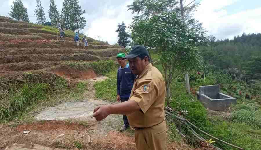 Sejuta Tanaman Cabai akan Dilaunching