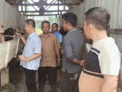 Ketua Komisi II DPRD Sulbar Kunjungi Pembibitan Kambing IPTU Kalukku
