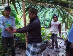 DLH Sulbar Serahkan Bantuan Bibit Durian di Desa Batupannu