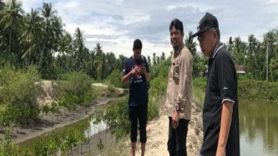 Mitigasi Perubahan Iklim, DLH Sulbar Survei Penanaman Mangrove di Mapilli