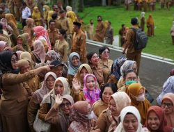 Tenaga Kontrak Daerah di Mamuju Tetap Dipertahankan. Ini Alasannya