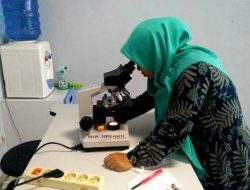Unsulbar Akan Ubah Bakteri Mangrove Jadi Pakan Udang Dengan Alat Tes DNA