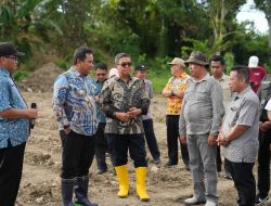Pemprov Sulbar Garap Dua Hektar Lahan Jadi Sentra Pembibitan Komoditi Pangan