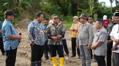 Pemprov Sulbar Garap Dua Hektar Lahan Jadi Sentra Pembibitan Komoditi Pangan