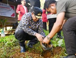 Tanam Sukun Bersama Pj Gubernur Bahtiar, Ketua PDM: Ada Hadist Nabi Tentang Tanam Pohon
