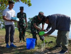 Buat Terumbu Karang Buatan dan Tanam Pohon, Sinergi Pemprov- TNI AL Menjaga Ekosistem Laut