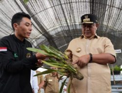 Pakar IPB Ibaratkan Anggrek Sulbar Posisinya Seperti Thailand