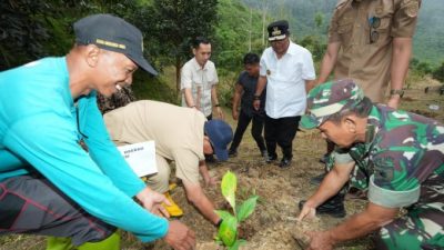 Patut Diteladani, Kunker PJ Bahtiar Tak Pernah Lepas dari Penanaman Sukun