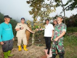 Saat Tanam Pohon di Majene, PJ Bahtiar Bocorkan Akan Anggarkan Bibit Durian untuk Warga