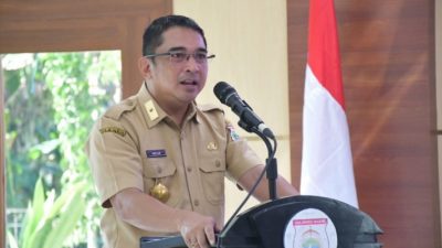 Dua dekade sulbar