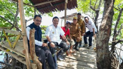 Sambut Hari Jadi Sulbar ke-20, Masyarakat Diimbau Sepekan Menanam Mangrove