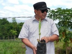 Komitmen Indonesia Nol Emisi Karbon 2060 Melalui Sulbar “Sepekan Menanam Mangrove”