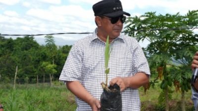 Komitmen Indonesia Nol Emisi Karbon 2060 Melalui Sulbar “Sepekan Menanam Mangrove”
