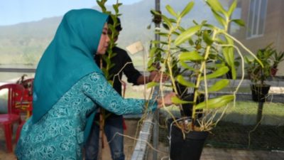 Pj. Ketua TP. PKK Sulbar Kunjungi Mamasa, Penilaian Sejumlah Pilot Project pada TP-PKK Mamasa
