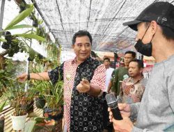 Etalase Anggrek dan Holtikultura, Wisata Baru di Perkantoran Pemprov Sulbar