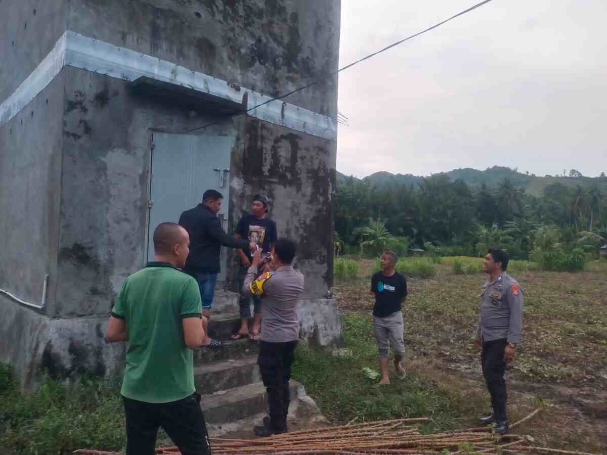 Sarang walet tandassura