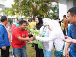 Detik-detik ASN di Mamuju dapat Pohon Cabe Gratis dari Petani Milenial