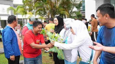 Detik-detik ASN di Mamuju dapat Pohon Cabe Gratis dari Petani Milenial
