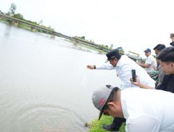 Tebar Bibit Ikan Nila, Bahtiar Ingin di Bendung Sekka-Sekka Multifungsi: Irigasi dan Sumber Perikanan