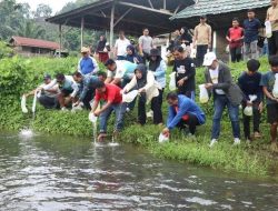 Forkopimda Bersama Warga Tebar Ratusan Ribu Benih Nila di Kali Mamuju