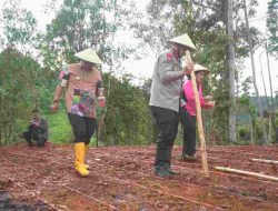 Hadiri Penanaman Jagung, Cabai Bawang dan Kopi di Botteng, Pj Bahtiar: Ini Bisa Menjadi Contoh Diikuti Masyarakat