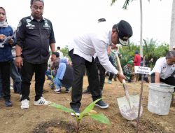 Antusiasnya Warga Pasangkayu Menanam Pisang Cavendis