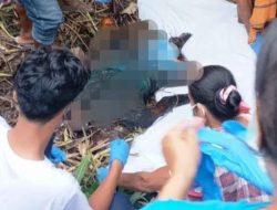 Lagi, Nenek Ditemukan Tergeletak Tak Bernyawa di Desa Sumarrang