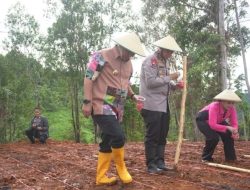 Hadiri Penanaman Jagung, Cabai Bawang dan Kopi di Botteng, Pj. Bahtiar: Bisa Dicontoh Masyarakat