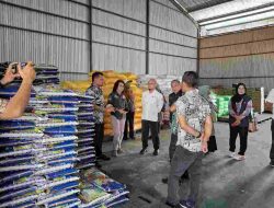 Jelang Lebaran, Pemprov Sulbar Pantau Ketersediaan Pangan di Bulog Mamuju