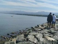Buaya Ngamuk di Pesisir Pantai Talise, Seorang Warga yang Asyik Renang jadi Mangsanya