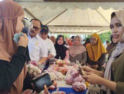 Gubernur Sulbar Pastikan GPM di Mamuju Berjalan Baik, Tekan Inflasi dan Bantu Masyarakat