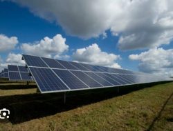 Perkuat Komitmen Dukung Pengembangan Energi Bersih, Dinas ESDM Sulbar Bahas Strategi Pengelolaan Tantangan PLTS Bersama UNDP Indonesia
