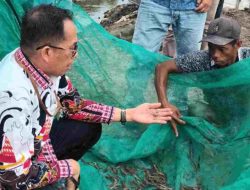 Kunjungan Tim Ahli Gubernur Sulbar: Menggali Potensi Tambak Pesisir di Pasangkayu