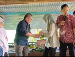 Pemprov Bantu Bibit Petani Majene, Komitmen Gubernur dan Wagub Membangun daerah