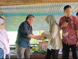 Petani Majene Berterima Kasih ke SDK JSM atas Bantuan Bibit untuk Ketahanan Pangan