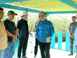 Dukung Pertumbuhan Ekonomi, Gubernur Sulbar Tinjau Lokasi KIPAS di PasangkayuKIPAS di PasangkayuDukung Pertumbuhan Ekonomi, Gubernur Sulbar Tinjau Lokasi KIPAS di Pasangkayu
