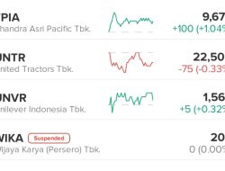 Apa Itu Suspend Saham dan Dampaknya Bagi Investor
