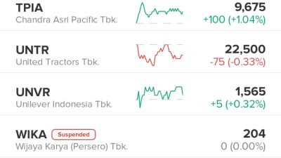 Apa Itu Suspend Saham dan Dampaknya Bagi Investor