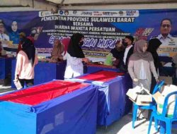 Dari Beras sampai Cabe: Distapang Sulbar Hadirkan Pasar Murah Lengkap di Terminal Mamuju