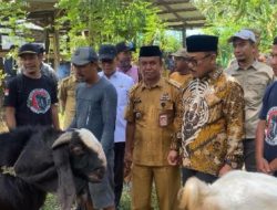Poktan di Desa Lampoko Terima Bantuan Bibit Ternak Kambing